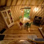 Forglamp Bydgoszcz