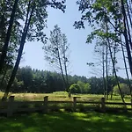 Forglamp Bydgoszcz