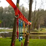 Forglamp