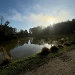 Forglamp Lyxtält