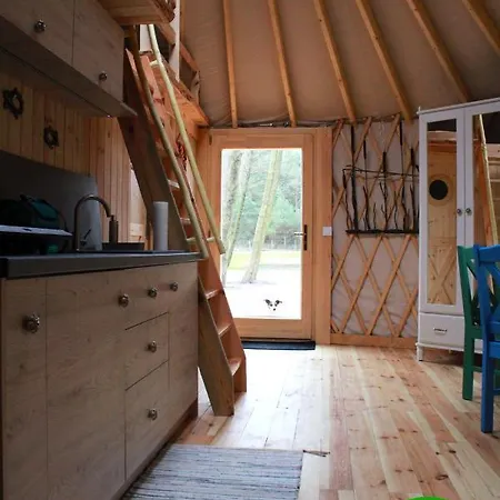 Lüks kamp alanı Forglamp Bydgoszcz