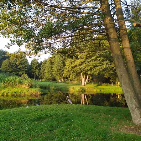 Роскошный шатер Forglamp *