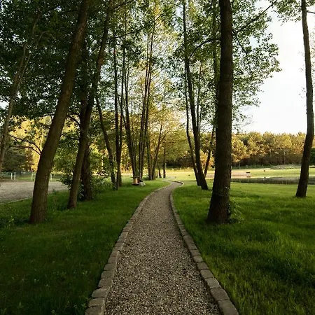 Forglamp Luxury tent Bydgoszcz