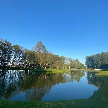 Роскошный шатер Forglamp