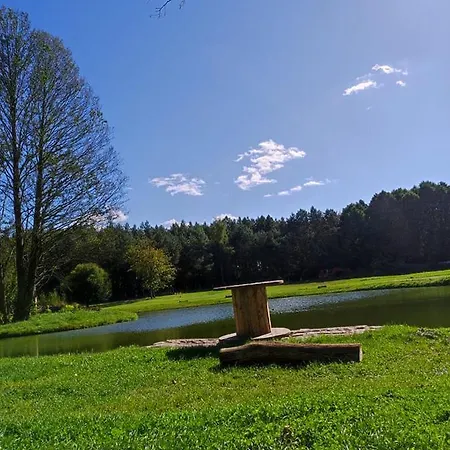 Forglamp * Bydgoszcz