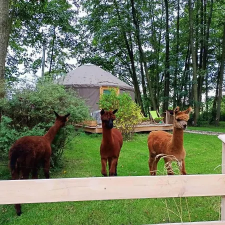 Forglamp Lüks kamp alanı *