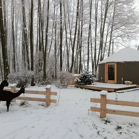 Forglamp Lüks kamp alanı
