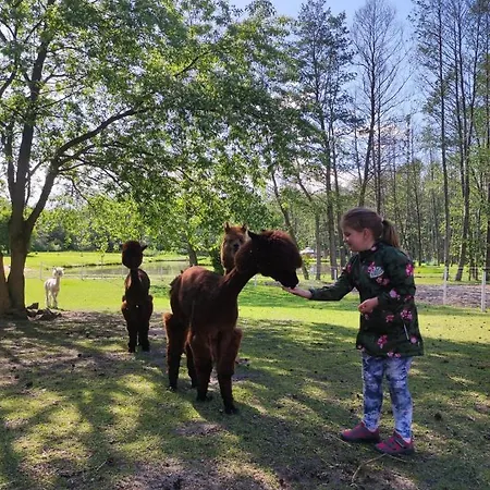 Forglamp خيمة فخمة *