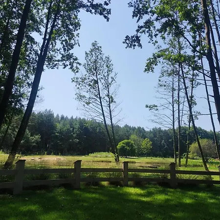 Forglamp Bydgoszcz