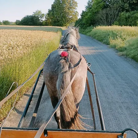 Luksustelt Forglamp *