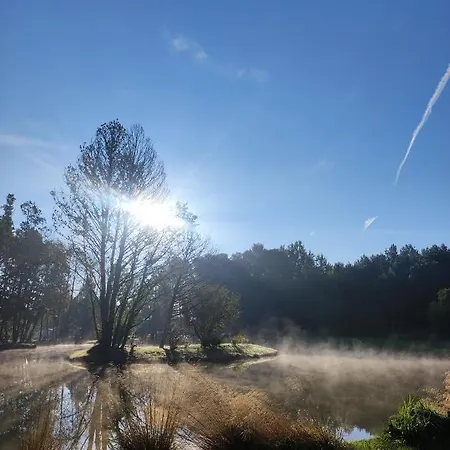Forglamp Luksustelt Bydgoszcz