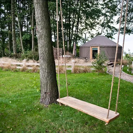 Forglamp * Bydgoszcz