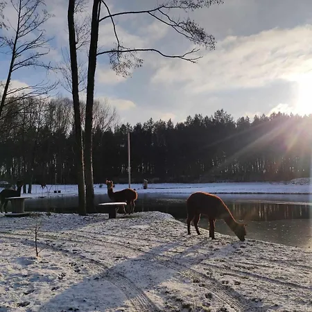 Forglamp Lyxtält