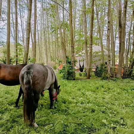 Forglamp Lüks kamp alanı