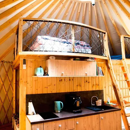 Forglamp *