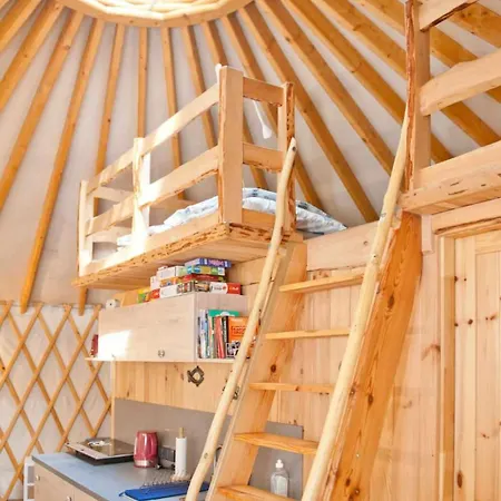 Forglamp *