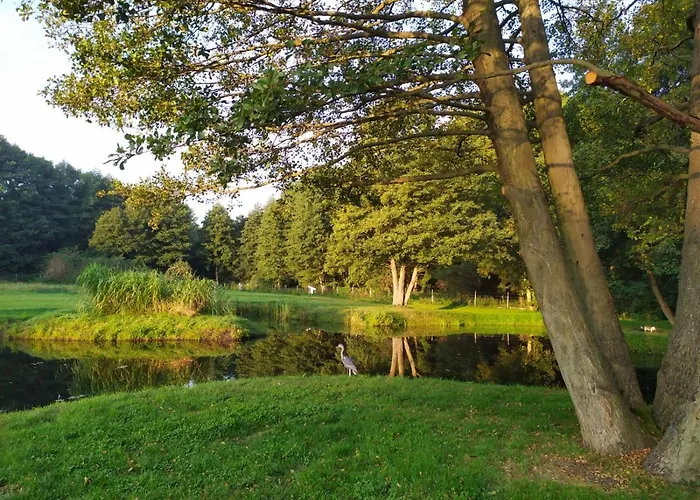 Campismo de Luxo Forglamp *