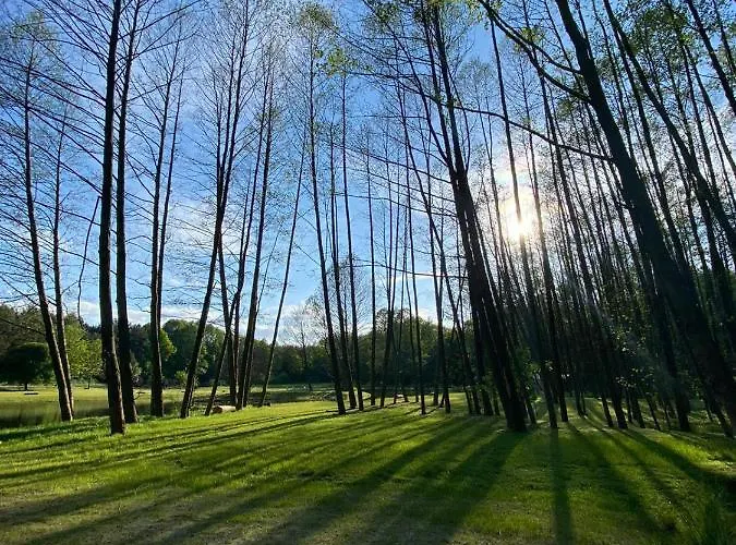 Forglamp Campismo de Luxo Bydgoszcz