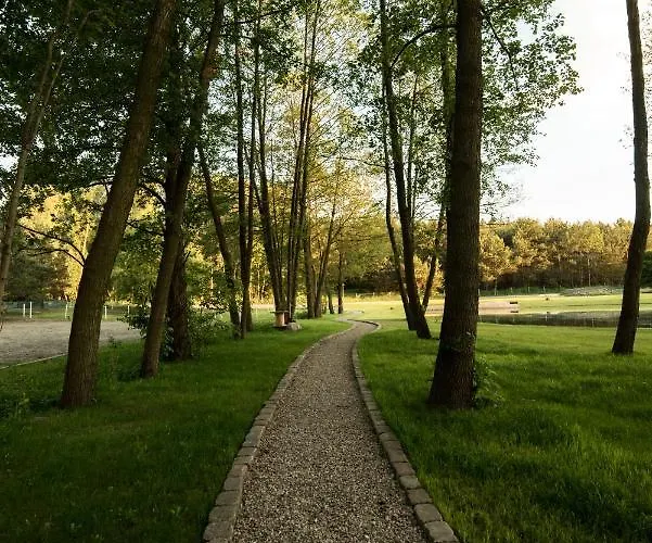 Forglamp Campismo de Luxo Bydgoszcz