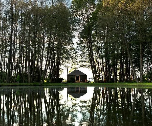 Forglamp Campo de lujo *