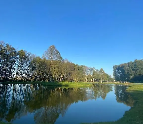 Campismo de Luxo Forglamp