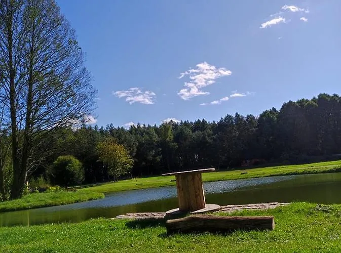 Forglamp * Bydgoszcz