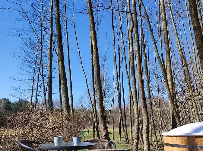 Campismo de Luxo Forglamp *