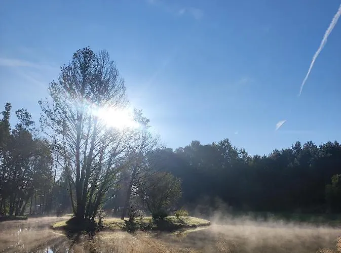 Forglamp Campismo de Luxo Bydgoszcz