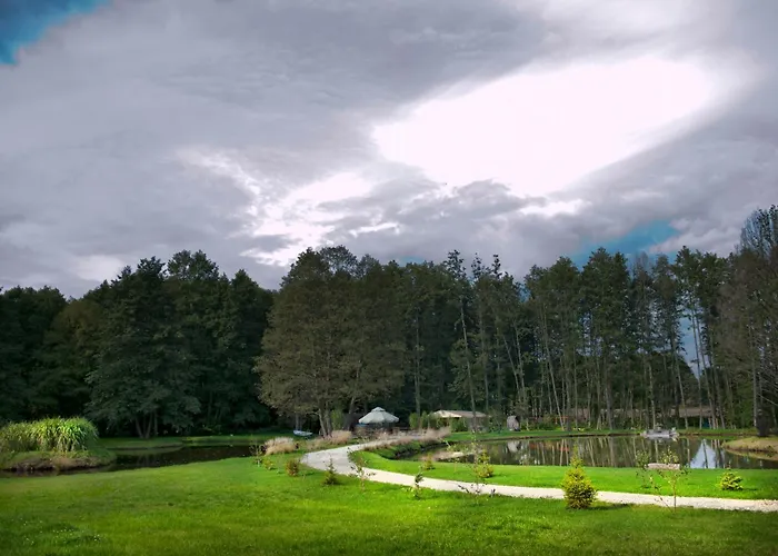 Forglamp Campismo de Luxo *