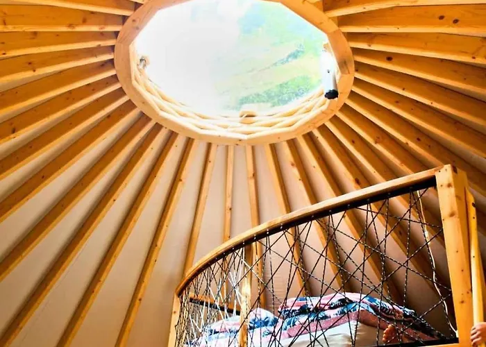 Forglamp Campismo de Luxo *