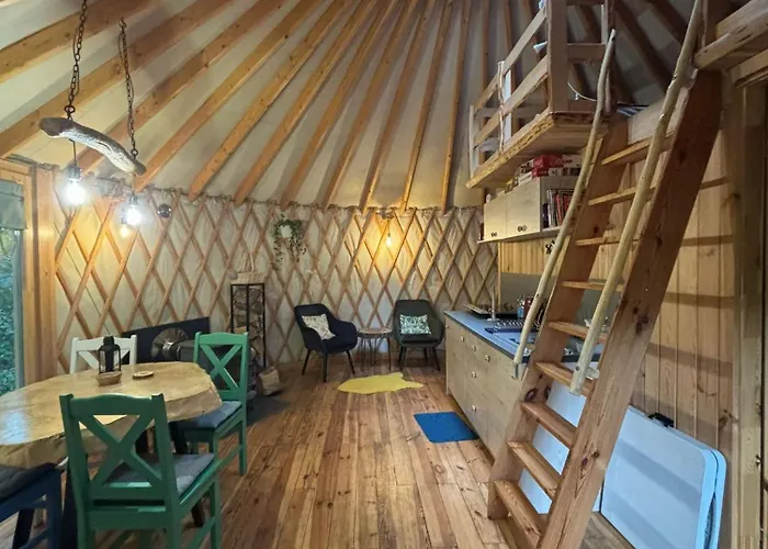 Forglamp * Bydgoszcz