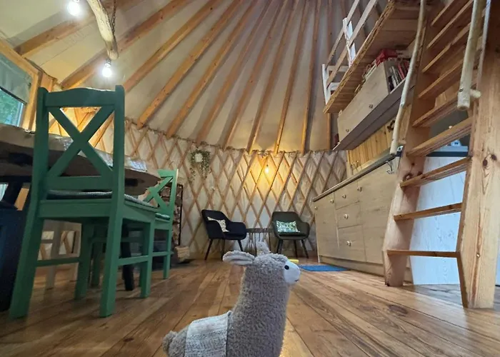 Forglamp Campismo de Luxo Bydgoszcz