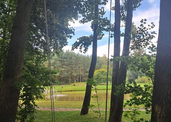 Forglamp * Bydgoszcz